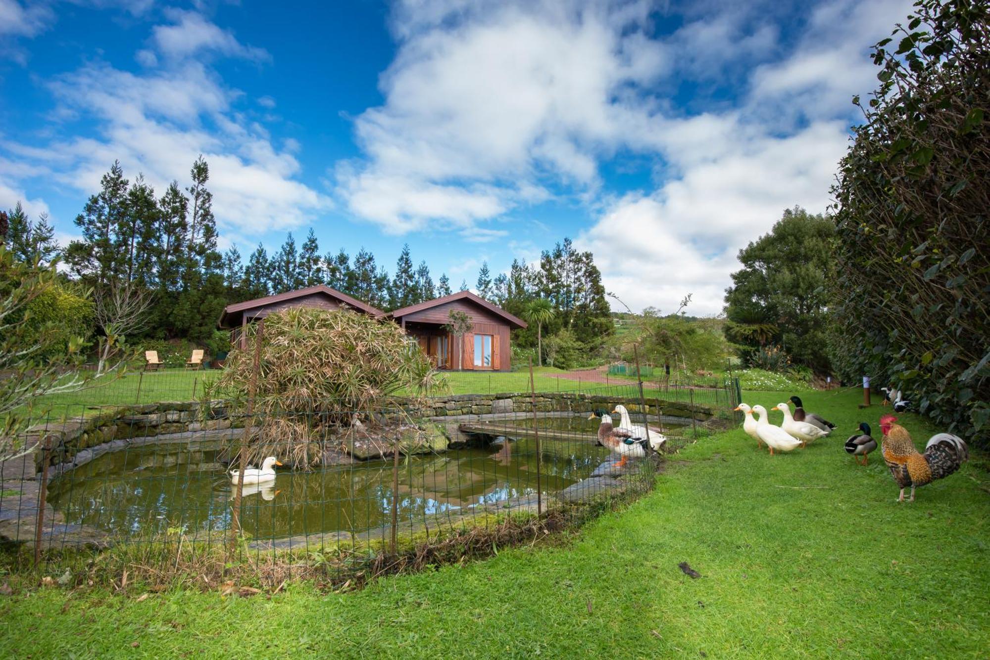 Quinta Dos Curubas Farm stay Vila Franca do Campo